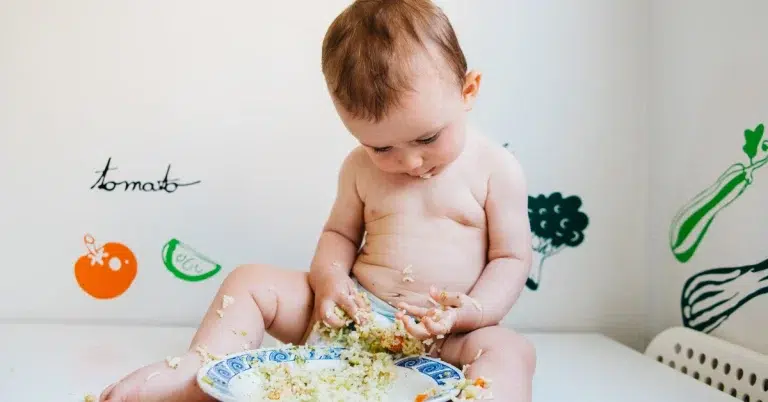 Alimentación Complementaria Consejos y Recetas para un Inicio Saludable