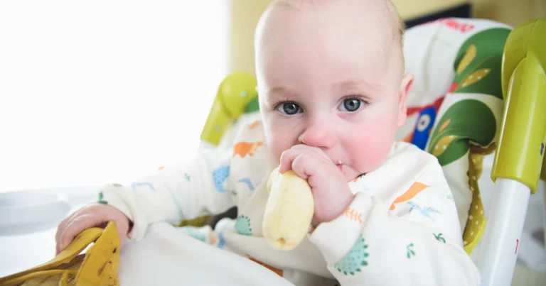Con qué alimento se debe iniciar la alimentación complementaria