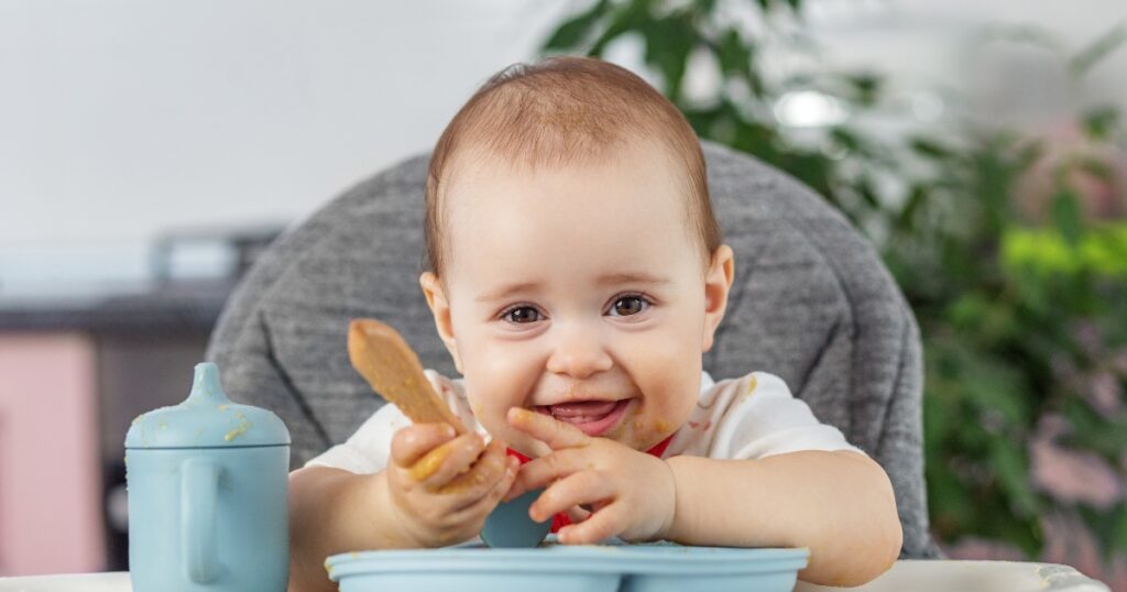 alimentación complementaria